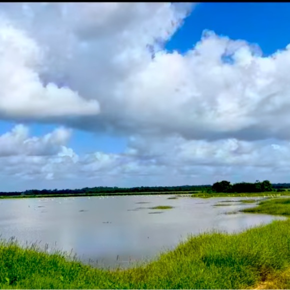 COA - Picture 1 of 1